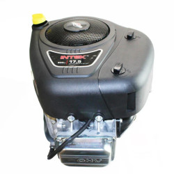 Briggs & Stratton 31R977-0054-G1 Vertical INTEK Engine